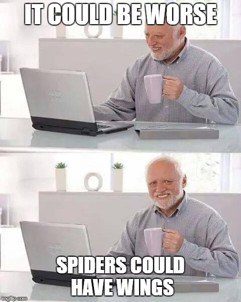 Try not to worry about it | IT COULD BE WORSE; SPIDERS COULD HAVE WINGS | image tagged in memes,hide the pain harold | made w/ Imgflip meme maker