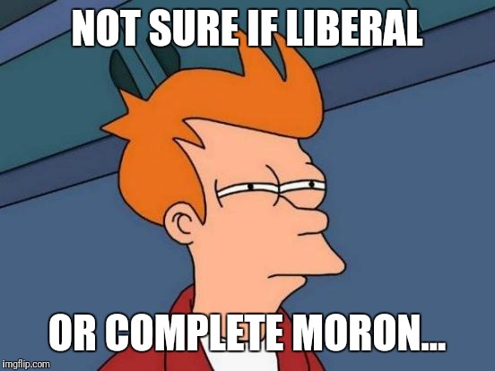 Futurama Fry Meme | NOT SURE IF LIBERAL; OR COMPLETE MORON... | image tagged in memes,futurama fry | made w/ Imgflip meme maker
