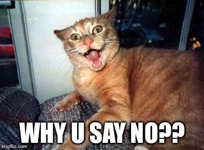 crazy cat | WHY U SAY NO?? | image tagged in crazy cat | made w/ Imgflip meme maker