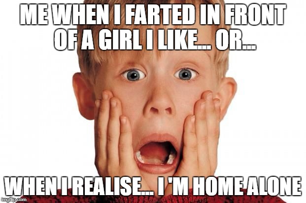Home alone | ME WHEN I FARTED IN FRONT OF A GIRL I LIKE... OR... WHEN I REALISE... I 'M HOME ALONE | image tagged in me when i'm,farted,girl i like,home alone | made w/ Imgflip meme maker