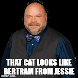 THAT CAT LOOKS LIKE BERTRAM FROM JESSIE | made w/ Imgflip meme maker