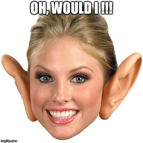 Memes, Big Ear Girl | OH, WOULD I !!! | image tagged in memes big ear girl | made w/ Imgflip meme maker