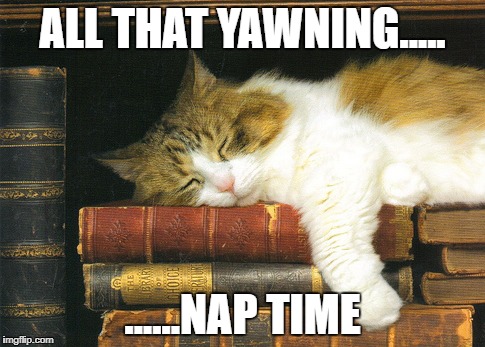 ALL THAT YAWNING..... ......NAP TIME | made w/ Imgflip meme maker