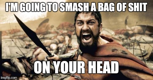 Sparta Leonidas Meme | I'M GOING TO SMASH A BAG OF SHIT; ON YOUR HEAD | image tagged in memes,sparta leonidas | made w/ Imgflip meme maker