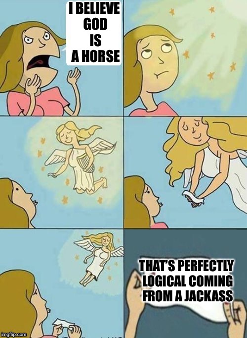 When you’re made in God’s image | I BELIEVE GOD IS A HORSE; THAT’S PERFECTLY LOGICAL COMING FROM A JACKASS | image tagged in memes,nobody cares,god,horses | made w/ Imgflip meme maker