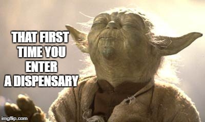 Yoda stoned  | THAT FIRST TIME YOU ENTER A DISPENSARY | image tagged in yoda stoned | made w/ Imgflip meme maker