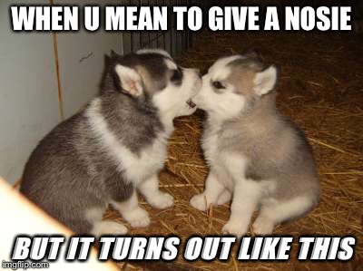 Cute Puppies | WHEN U MEAN TO GIVE A NOSIE; BUT IT TURNS OUT LIKE THIS | image tagged in memes,cute puppies | made w/ Imgflip meme maker