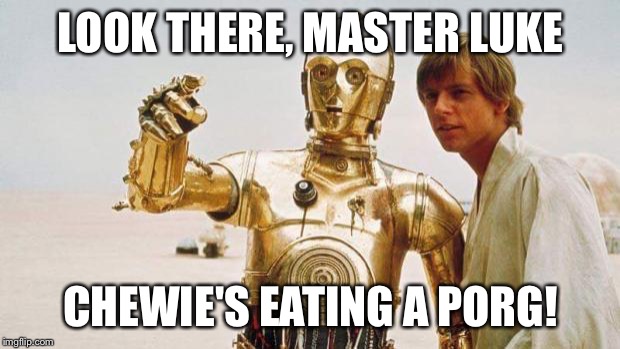 I WILL TEAR YOUR ARMS OUT OF YOUR SOCKETS. | LOOK THERE, MASTER LUKE; CHEWIE'S EATING A PORG! | image tagged in star wars,star wars episode viii,porg,memes,c3po,chewbacca | made w/ Imgflip meme maker