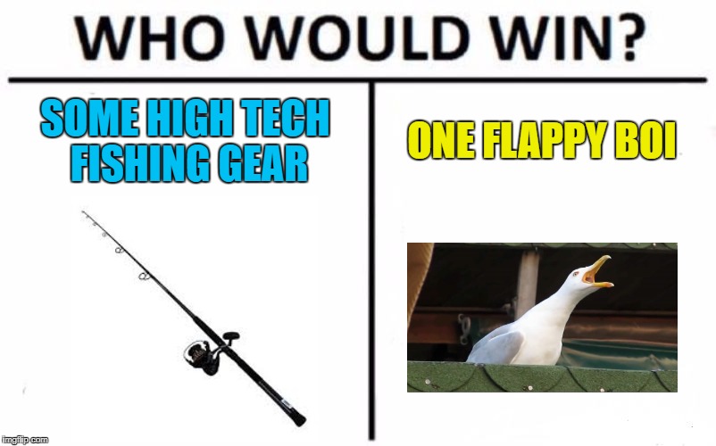 True story, a seagull flew off with my fishing rod! | SOME HIGH TECH FISHING GEAR; ONE FLAPPY BOI | image tagged in memes,who would win | made w/ Imgflip meme maker