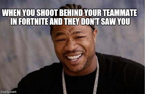 Yo Dawg Heard You Meme | WHEN YOU SHOOT BEHIND YOUR TEAMMATE IN FORTNITE AND THEY DON'T SAW YOU | image tagged in memes,yo dawg heard you | made w/ Imgflip meme maker