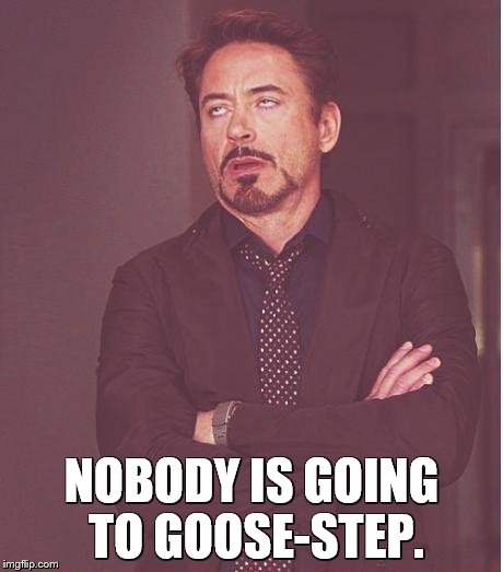 Face You Make Robert Downey Jr Meme | NOBODY IS GOING TO GOOSE-STEP. | image tagged in memes,face you make robert downey jr | made w/ Imgflip meme maker