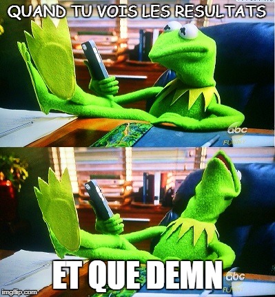 Kermit damn | QUAND TU VOIS LES RESULTATS; ET QUE DEMN | image tagged in kermit damn | made w/ Imgflip meme maker