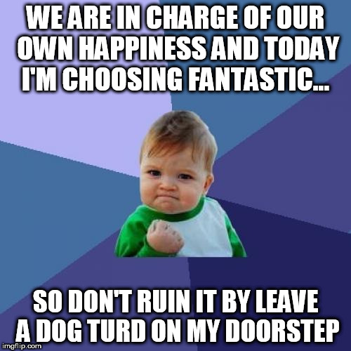Success Kid Meme | WE ARE IN CHARGE OF OUR OWN HAPPINESS AND TODAY I'M CHOOSING FANTASTIC... SO DON'T RUIN IT BY LEAVE A DOG TURD ON MY DOORSTEP | image tagged in memes,success kid | made w/ Imgflip meme maker