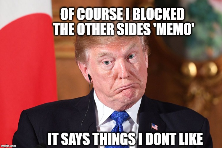Trump dumbfounded | OF COURSE I BLOCKED THE OTHER SIDES 'MEMO'; IT SAYS THINGS I DONT LIKE | image tagged in trump dumbfounded | made w/ Imgflip meme maker