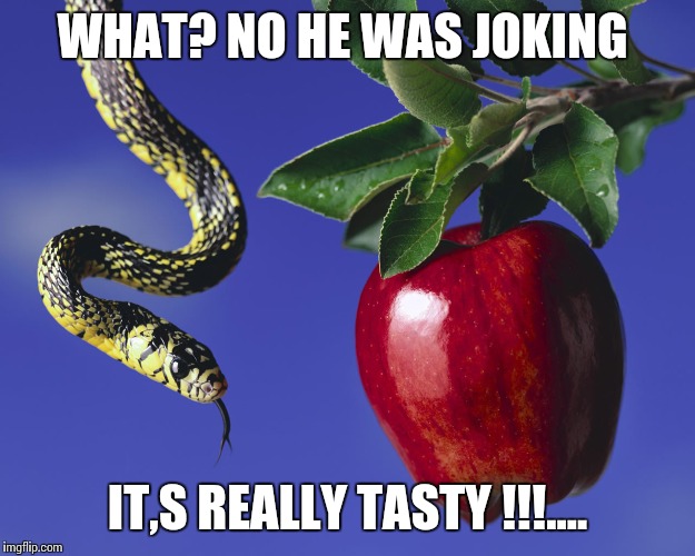 Serpent & The Apple | WHAT? NO HE WAS JOKING; IT,S REALLY TASTY !!!.... | image tagged in serpent  the apple | made w/ Imgflip meme maker