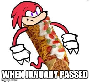 happy febuary | WHEN JANUARY PASSED | image tagged in knuckles | made w/ Imgflip meme maker