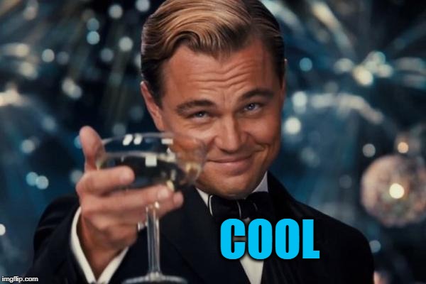 Leonardo Dicaprio Cheers Meme | COOL | image tagged in memes,leonardo dicaprio cheers | made w/ Imgflip meme maker