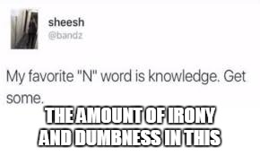 is just astounding | THE AMOUNT OF IRONY AND DUMBNESS IN THIS | image tagged in memes,ssby,funny,irony | made w/ Imgflip meme maker