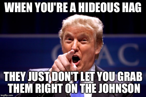 Your President BWHA-HA-HA! | WHEN YOU'RE A HIDEOUS HAG THEY JUST DON'T LET YOU GRAB THEM RIGHT ON THE JOHNSON | image tagged in your president bwha-ha-ha | made w/ Imgflip meme maker