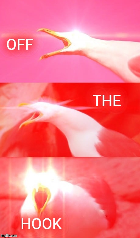 Inhaling Seagull Reply | OFF HOOK THE | image tagged in inhaling seagull reply | made w/ Imgflip meme maker