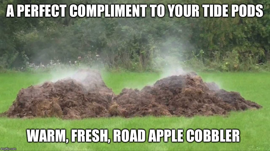 A PERFECT COMPLIMENT TO YOUR TIDE PODS; WARM, FRESH, ROAD APPLE COBBLER | image tagged in tide pods,tide pod challenge,stupid people | made w/ Imgflip meme maker