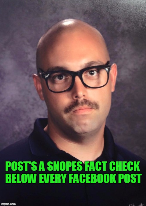 People try to make their opinions facts  and try to make your opinions false. | POST'S A SNOPES FACT CHECK BELOW EVERY FACEBOOK POST | image tagged in fact check | made w/ Imgflip meme maker