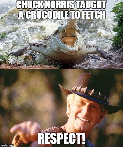 Chuck Norris Crocodile Dundee | CHUCK NORRIS TAUGHT A CROCODILE TO FETCH; RESPECT! | image tagged in chuck norris,memes,crocodile,crocodile dundee | made w/ Imgflip meme maker