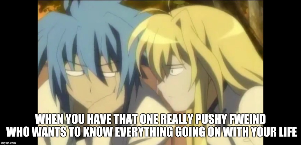 most relatable fweind meme i could think of | WHEN YOU HAVE THAT ONE REALLY PUSHY FWEIND WHO WANTS TO KNOW EVERYTHING GOING ON WITH YOUR LIFE | image tagged in anime meme,anime | made w/ Imgflip meme maker