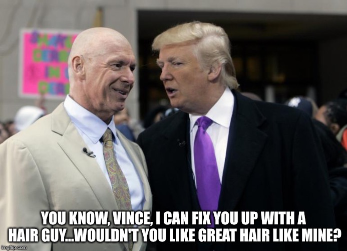 Donald trump hair | YOU KNOW, VINCE, I CAN FIX YOU UP WITH A HAIR GUY...WOULDN'T YOU LIKE GREAT HAIR LIKE MINE? | image tagged in vince mcmahon | made w/ Imgflip meme maker