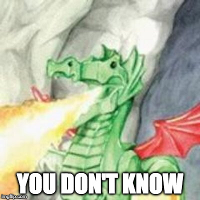 You don't know | YOU DON'T KNOW | image tagged in aulddragon you don't know,aulddragon | made w/ Imgflip meme maker