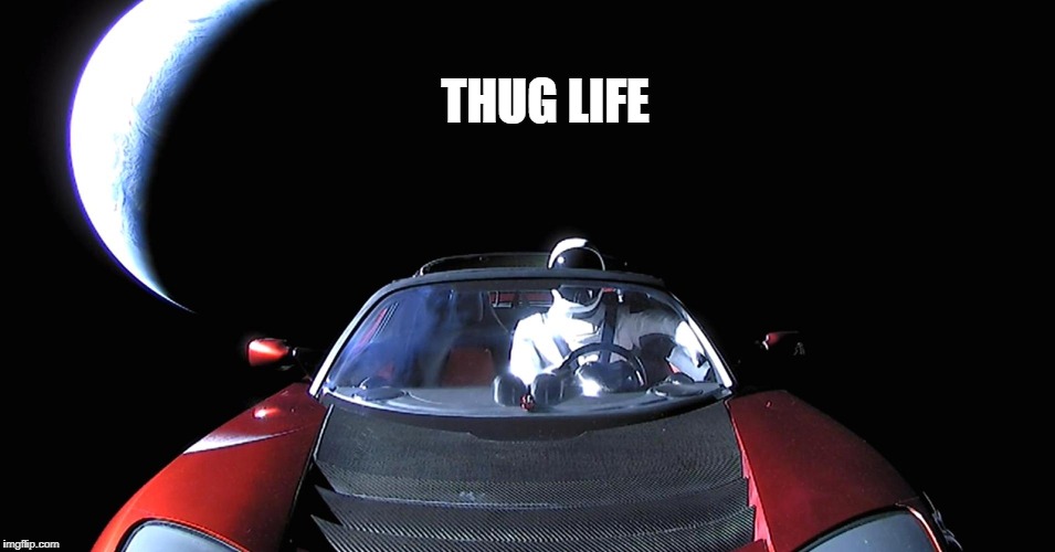 THUG LIFE | image tagged in thug life | made w/ Imgflip meme maker