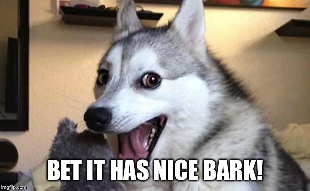 Pun dog - husky | BET IT HAS NICE BARK! | image tagged in pun dog - husky | made w/ Imgflip meme maker