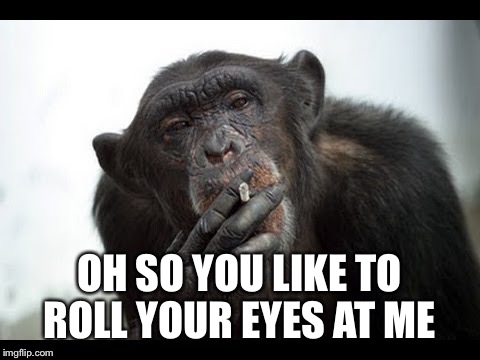 OH SO YOU LIKE TO ROLL YOUR EYES AT ME | made w/ Imgflip meme maker