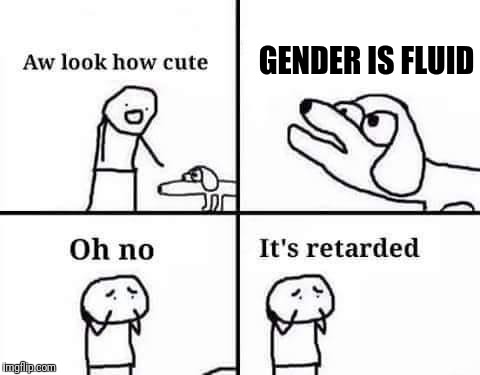 Oh no its retarded | GENDER IS FLUID | image tagged in oh no its retarded | made w/ Imgflip meme maker