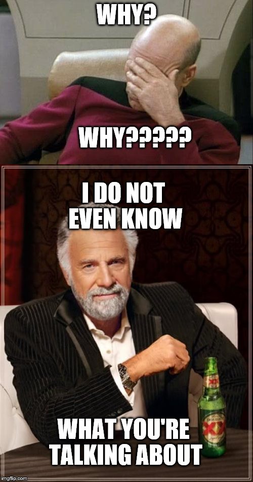 WHY? WHY????? I DO NOT EVEN KNOW; WHAT YOU'RE TALKING ABOUT | image tagged in captain picard facepalm | made w/ Imgflip meme maker