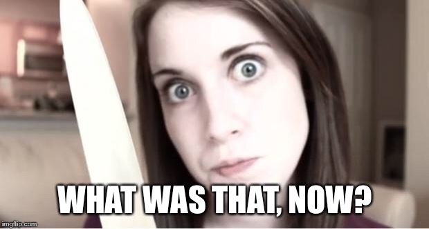 Overly Attached Girlfriend Knife | WHAT WAS THAT, NOW? | image tagged in overly attached girlfriend knife | made w/ Imgflip meme maker