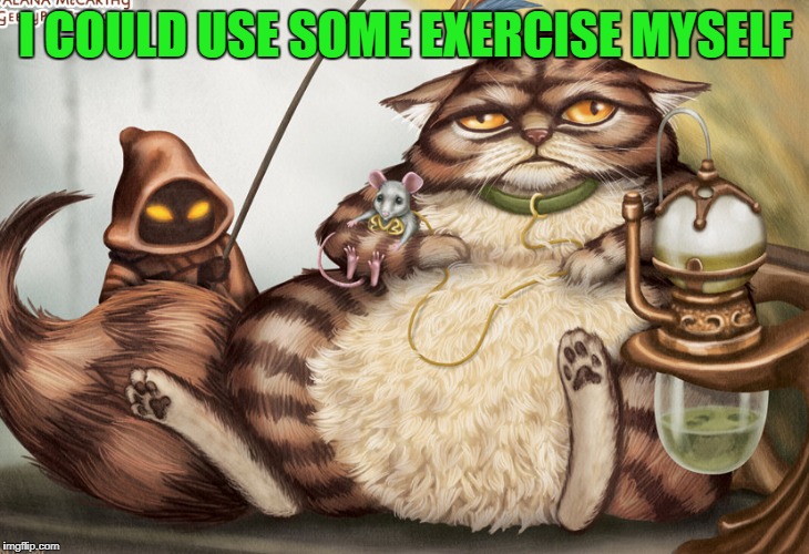 I COULD USE SOME EXERCISE MYSELF | made w/ Imgflip meme maker