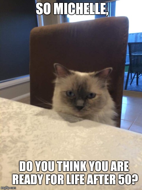 Cat interview | SO MICHELLE, DO YOU THINK YOU ARE READY FOR LIFE AFTER 50? | image tagged in cat,michelle,50 | made w/ Imgflip meme maker