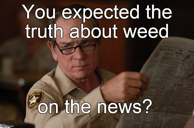 say what? | You expected the truth about weed on the news? | image tagged in say what | made w/ Imgflip meme maker