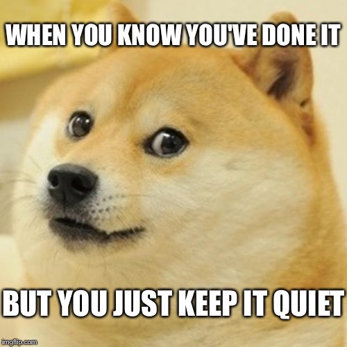 Doge | WHEN YOU KNOW YOU'VE DONE IT; BUT YOU JUST KEEP IT QUIET | image tagged in memes,doge | made w/ Imgflip meme maker