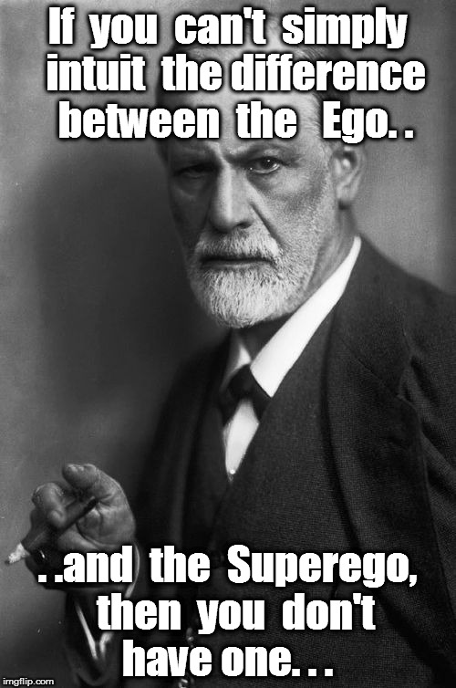 Sigmund Freud Meme | If  you  can't  simply  intuit  the difference  between  the   Ego. . . .and  the  Superego,  then  you  don't  have one. . . | image tagged in memes,sigmund freud | made w/ Imgflip meme maker