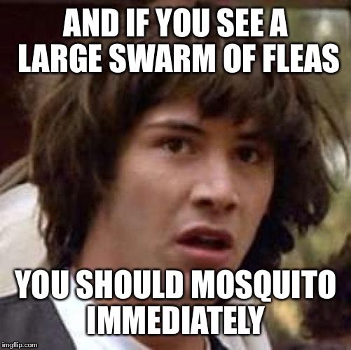 AND IF YOU SEE A LARGE SWARM OF FLEAS YOU SHOULD MOSQUITO IMMEDIATELY | made w/ Imgflip meme maker