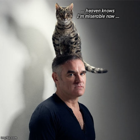 morrissey | ... heaven knows I'm miserable now ... | image tagged in morrissey | made w/ Imgflip meme maker