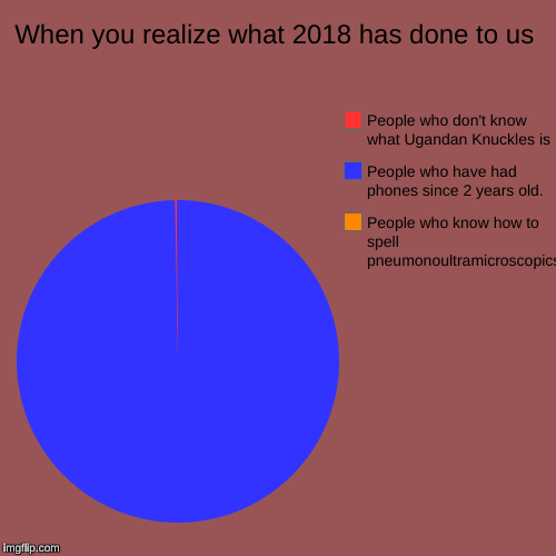When you realize what 2018 has done to us | People who know how to spell pneumonoultramicroscopicsilicovolcanoconiosis, People who have had  | image tagged in funny,pie charts | made w/ Imgflip chart maker