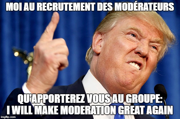 Donald Trump | MOI AU RECRUTEMENT DES MODÉRATEURS; QU'APPORTEREZ VOUS AU GROUPE: I WILL MAKE MODERATION GREAT AGAIN | image tagged in donald trump | made w/ Imgflip meme maker