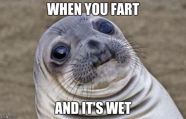 Not that i have personal experience | WHEN YOU FART; AND IT'S WET | image tagged in memes,awkward moment sealion,fart,wet | made w/ Imgflip meme maker