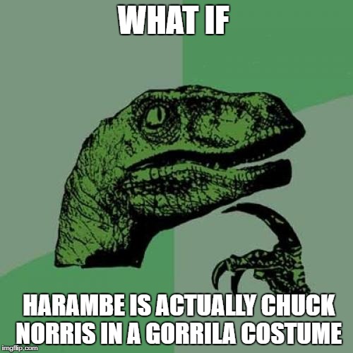 Philosoraptor | WHAT IF; HARAMBE IS ACTUALLY CHUCK NORRIS IN A GORRILA COSTUME | image tagged in memes,philosoraptor | made w/ Imgflip meme maker