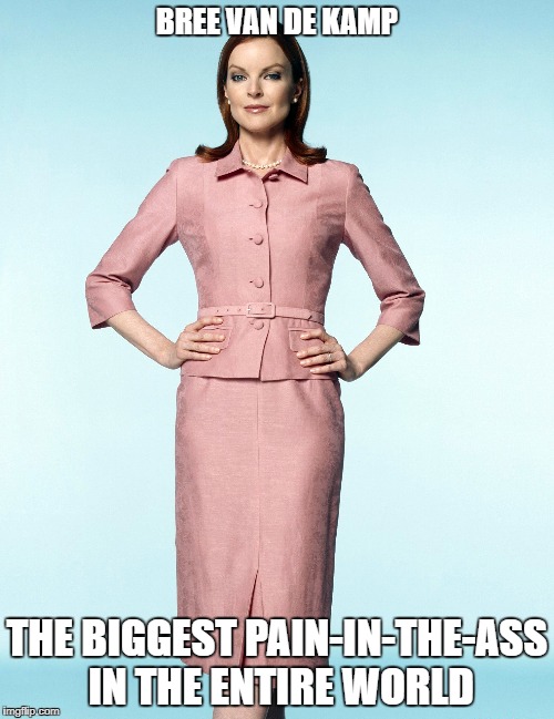 bree van de kamp according to me | BREE VAN DE KAMP; THE BIGGEST PAIN-IN-THE-ASS IN THE ENTIRE WORLD | image tagged in bree,memes | made w/ Imgflip meme maker