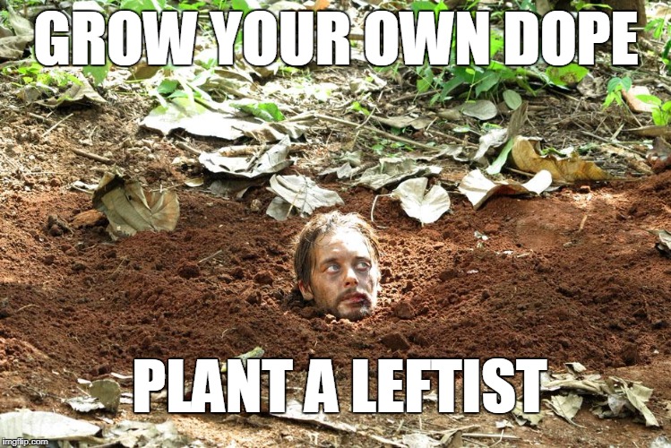 Home Grown Dopes | GROW YOUR OWN DOPE; PLANT A LEFTIST | image tagged in home grown,dope,leftist,memes | made w/ Imgflip meme maker