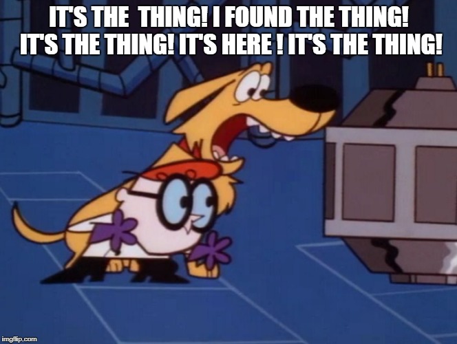 IT'S THE  THING! I FOUND THE THING! IT'S THE THING! IT'S HERE ! IT'S THE THING! | image tagged in cartoon network | made w/ Imgflip meme maker